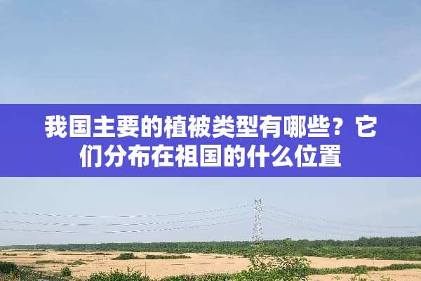我国主要的植被类型有哪些？它们分布在祖国的什么位置