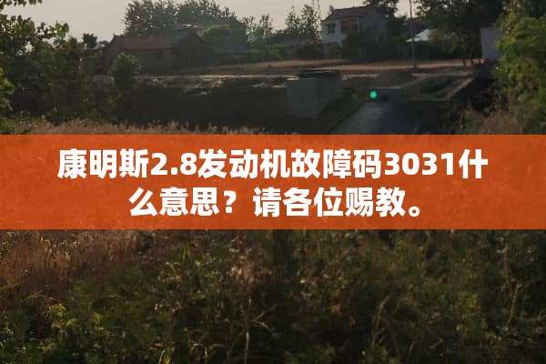 康明斯2.8发动机故障码3031什么意思？请各位赐教。