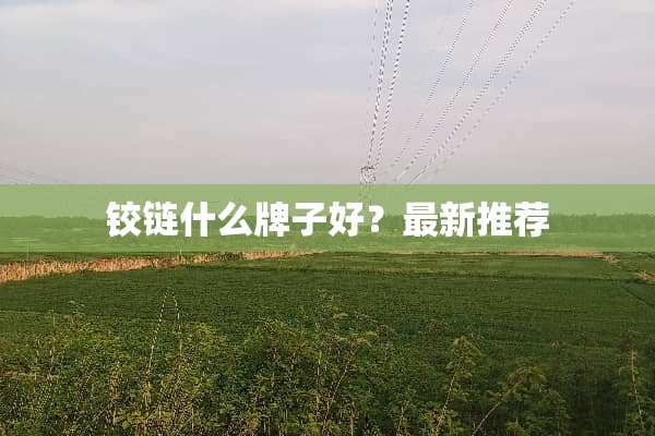铰链什么牌子好？最新推荐