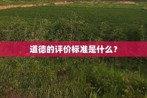 道德的评价标准是什么？
