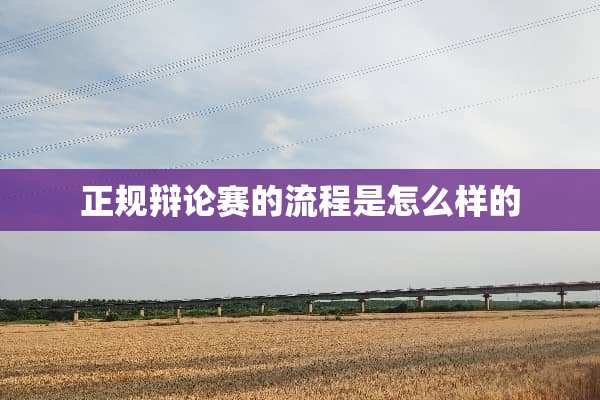 正规辩论赛的流程是怎么样的
