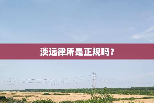 淡远律所是正规吗？