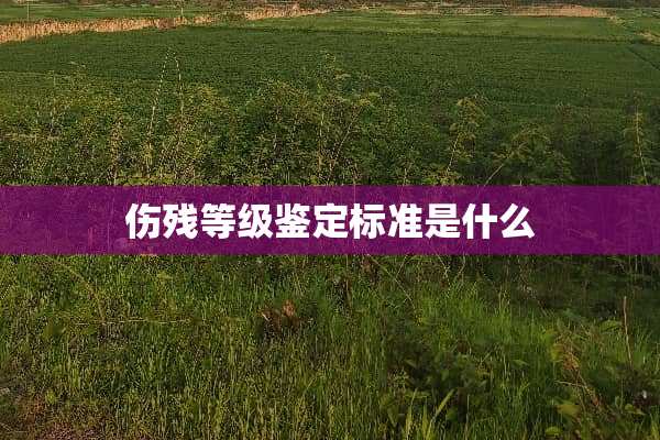 伤残等级鉴定标准是什么