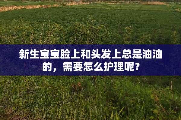 新生宝宝脸上和头发上总是油油的，需要怎么护理呢？