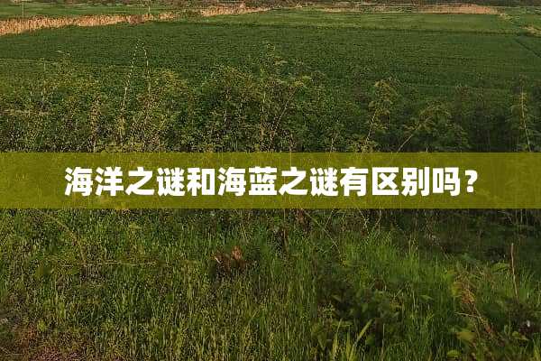 海洋之谜和海蓝之谜有区别吗？