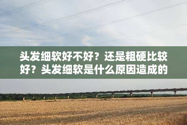 头发细软好不好？还是粗硬比较好？头发细软是什么原因造成的呢？