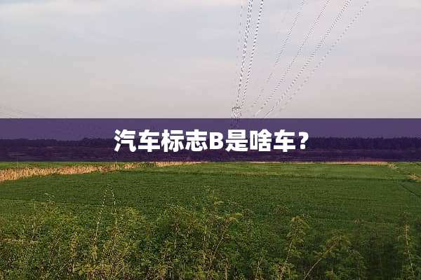 汽车标志B是啥车？