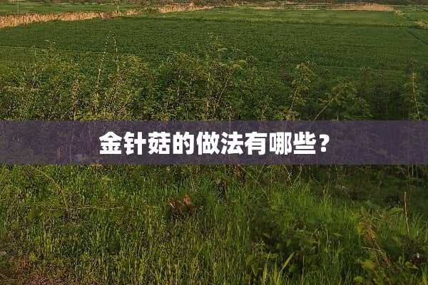 金针菇的做法有哪些？