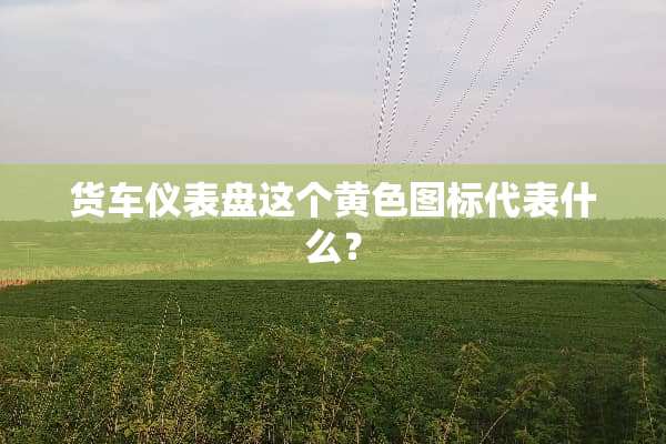货车仪表盘这个**图标代表什么？