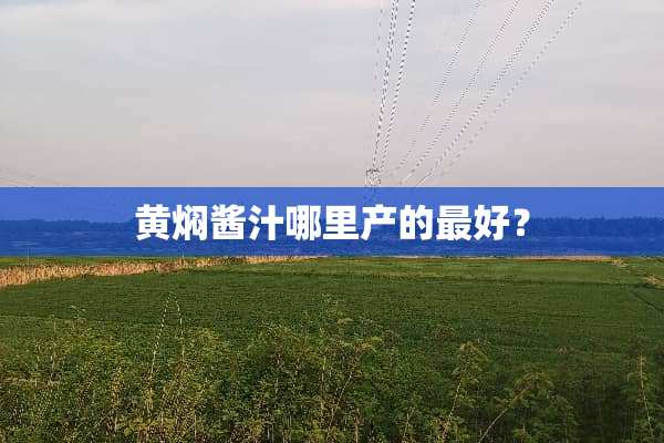 黄焖酱汁哪里产的最好？