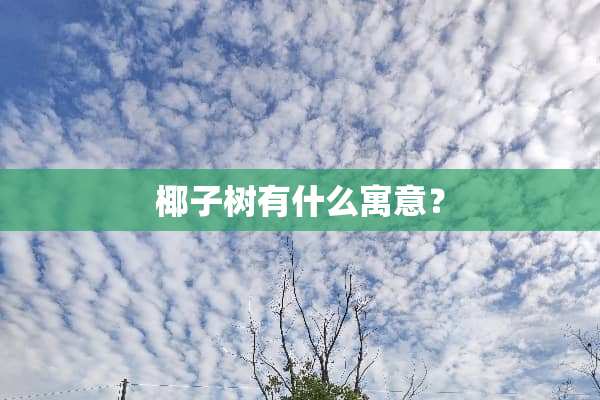 椰子树有什么寓意？
