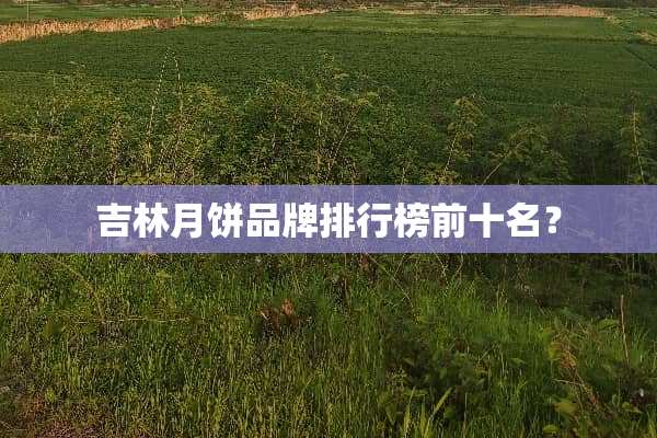 吉林月饼品牌排行榜前十名？