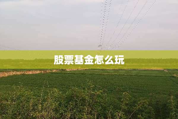 股票基金怎么玩