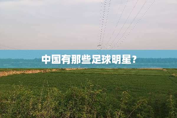 中国有那些**明星？