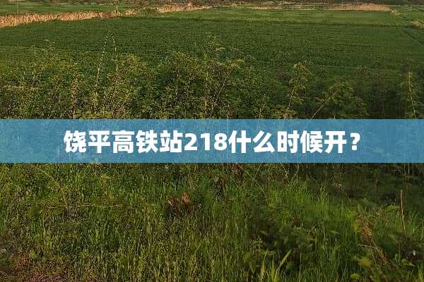饶平高铁站218什么时候开？