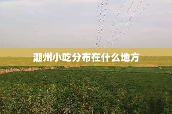潮州小吃分布在什么地方
