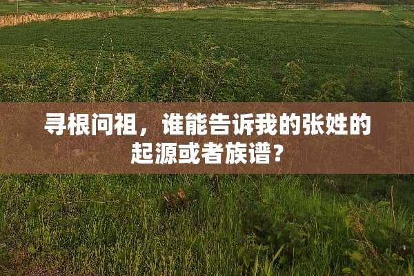 寻根问祖，谁能告诉我的张姓的起源或者族谱？