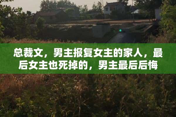 总裁文，男主报复女主的家人，最后女主也死掉的，男主最后后悔的文？