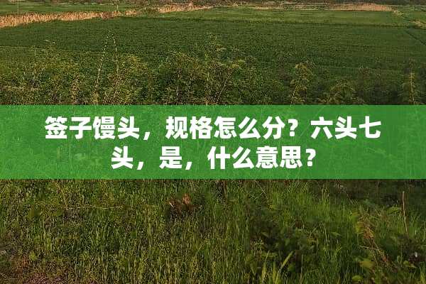 签子馒头，规格怎么分？六头七头，是，什么意思？