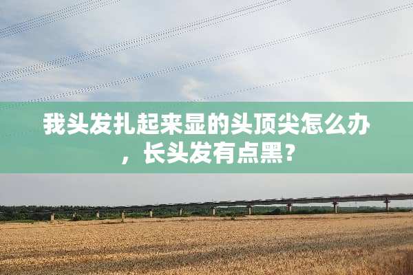 我头发扎起来显的头顶尖怎么办，长头发有点黑？