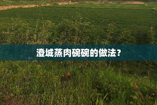 澄城蒸肉碗碗的做法？