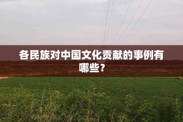 各民族对中国文化贡献的事例有哪些？