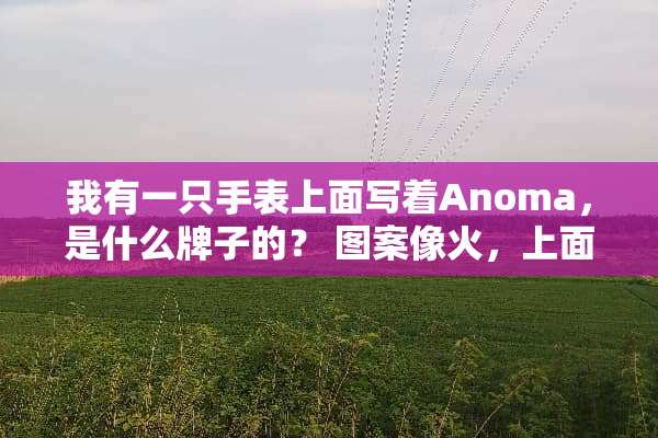 我有一只手表上面写着Anoma，是什么牌子的？ 图案像火，上面写着Anoma表