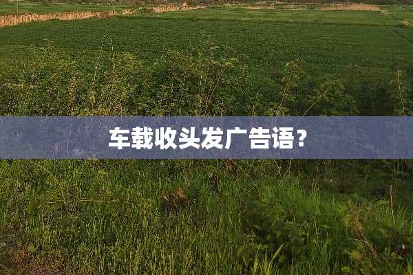 车载收头发广告语？