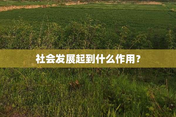 社会发展起到什么作用？