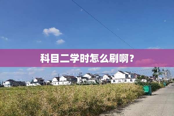 科目二学时怎么刷啊？