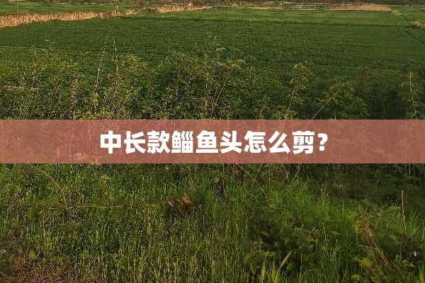 中长款鲻鱼头怎么剪？