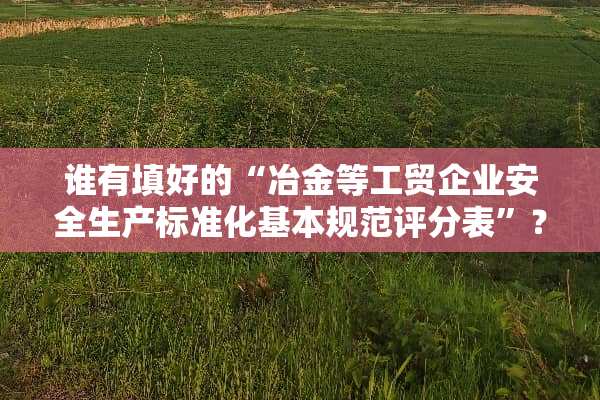 谁有填好的“冶金等工贸企业安全生产标准化基本规范评分表”？