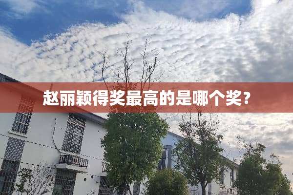 赵丽颖得奖最高的是哪个奖？