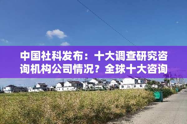 中国社科发布：十大调查研究咨询机构公司情况？全球十大咨询公司情况