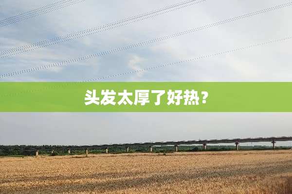 头发太厚了好热？