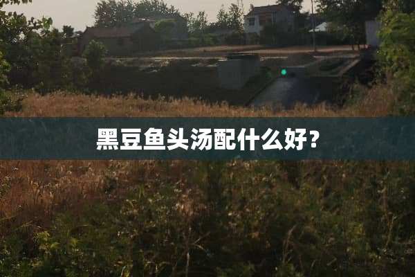 黑豆鱼头汤配什么好？