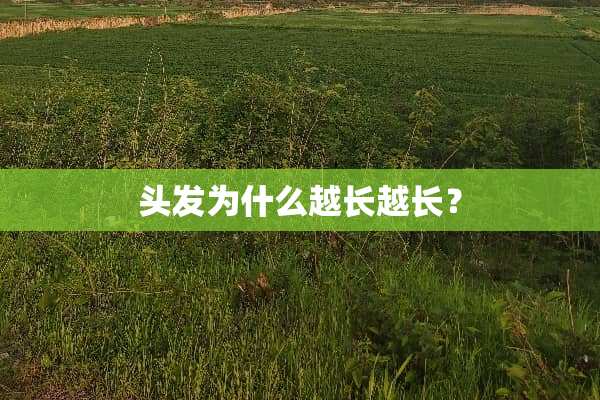 头发为什么越长越长？