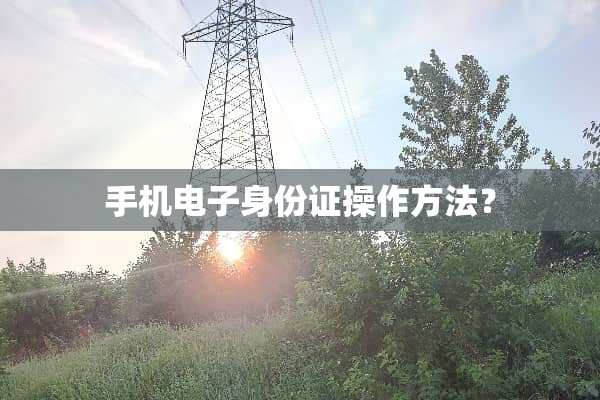 手机电子***操作方法？