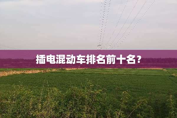 插电混动车排名前十名？