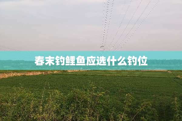 春末钓鲤鱼应选什么钓位