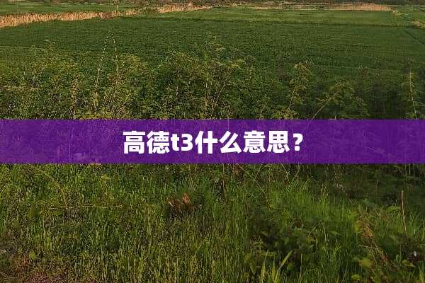 高德t3什么意思？