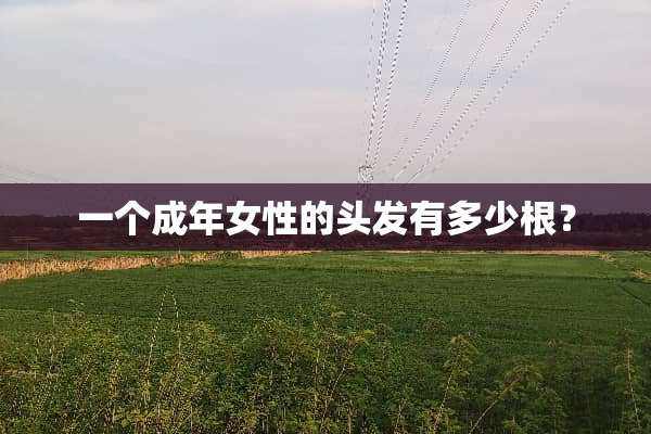 一个成年女性的头发有多少根？