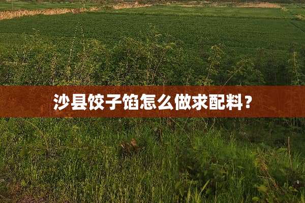 沙县饺子馅怎么做求配料？
