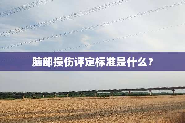 脑部损伤评定标准是什么？