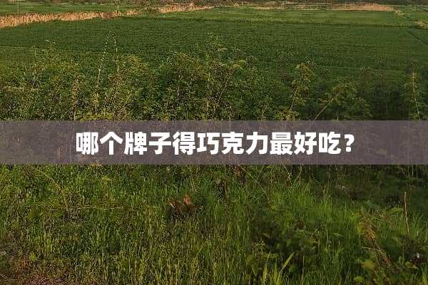 哪个牌子得巧克力最好吃？