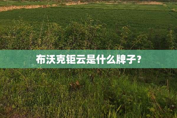 布沃克钜云是什么牌子？