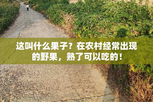 这叫什么果子？在农村经常出现的野果，熟了可以吃的！