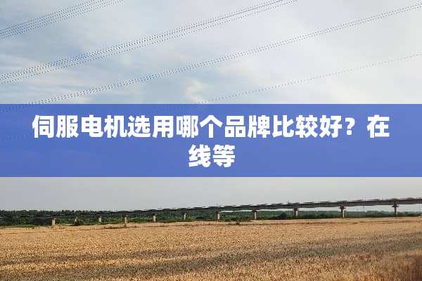 伺服电机选用哪个品牌比较好？在线等