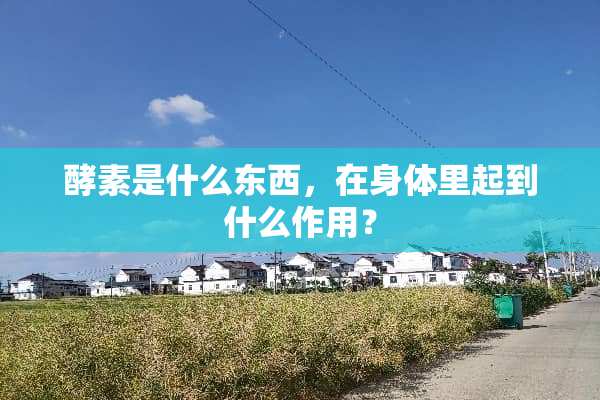 酵素是什么东西，在身体里起到什么作用？