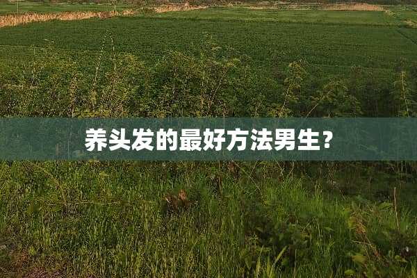 养头发的最好方法男生？